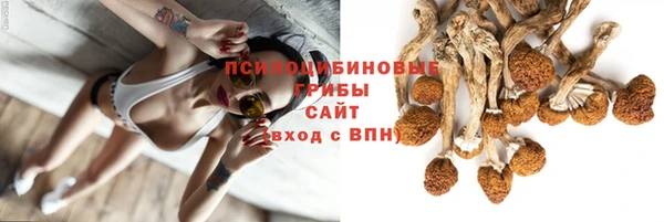 молекула духа Красноперекопск