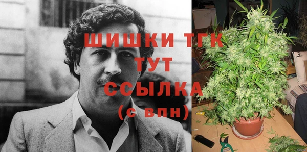 молекула духа Красноперекопск