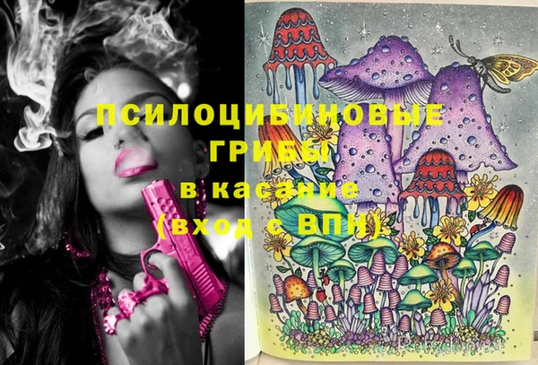 мяу мяу кристалл Корсаков