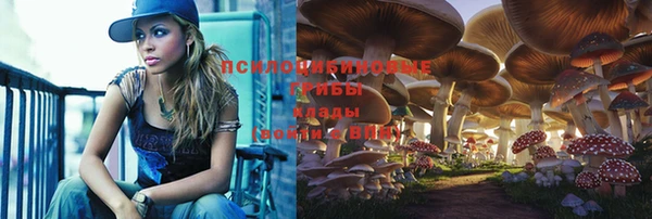 мяу мяу кристалл Корсаков